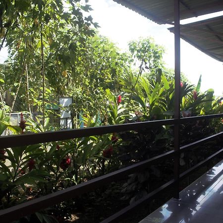 Encanto Arenal Lodge La Fortuna Bagian luar foto